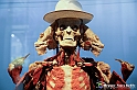 VBS_2903 - Mostra Body Worlds